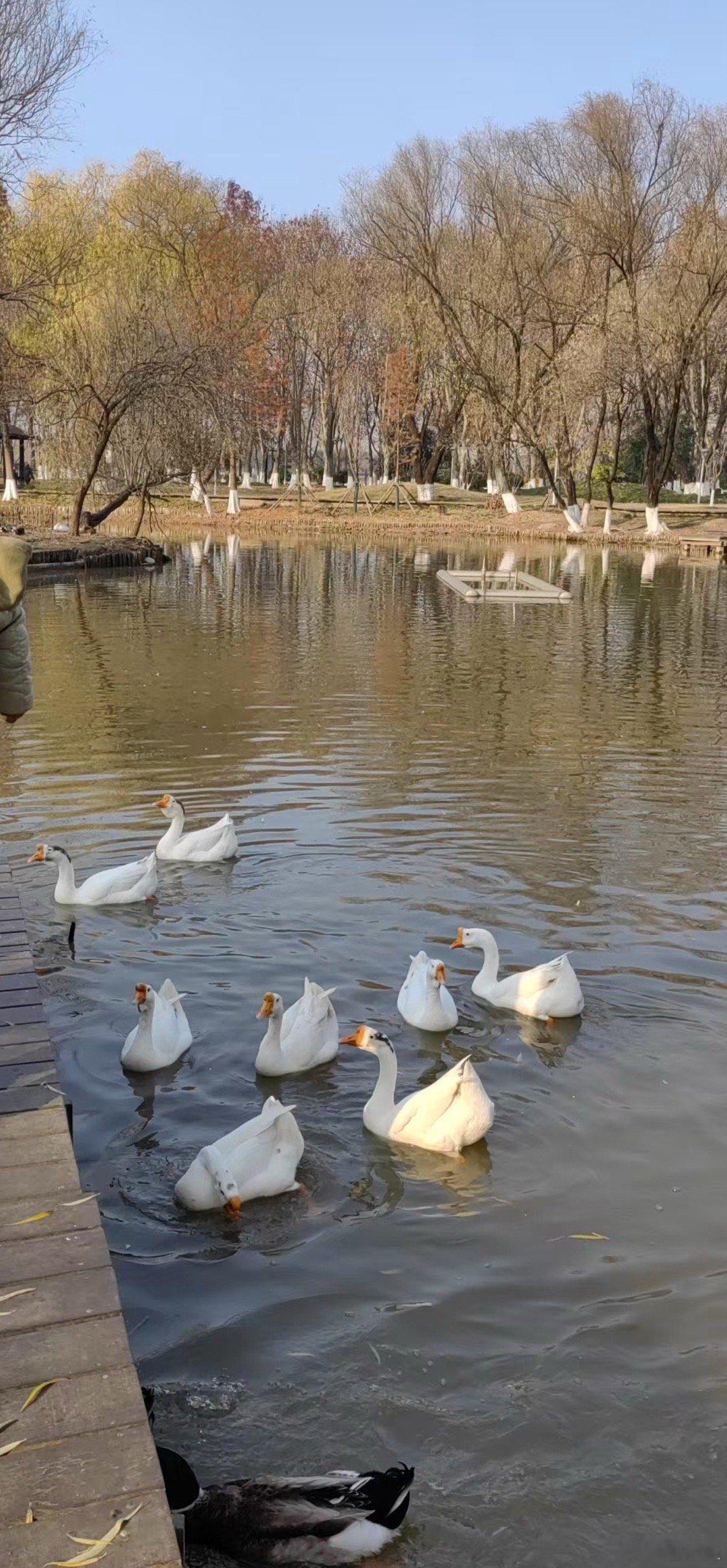 芒格总结出第五条理念：投资就像钓鱼，要在有鱼的地方钓鱼。他说钓鱼有两条法则：第一