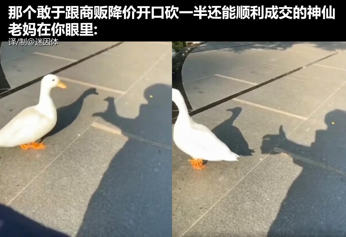 对方莫名其妙就妥协了memes迷译图