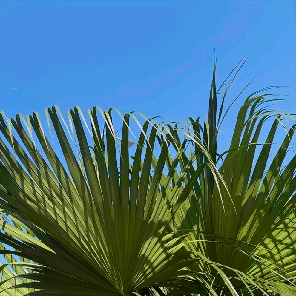 信息  关于哈尔滨医科大原副校长的 11月25日，关于哈尔滨医科大原副校长