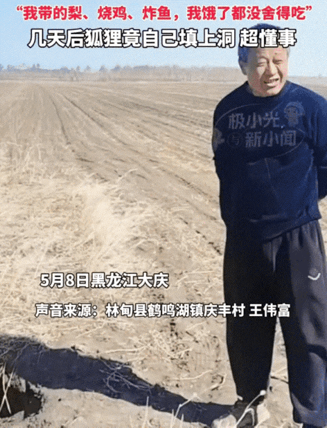 万万没想到！黑龙江大庆，一大哥家庄稼地里惊现四五个深洞，大哥观察发现，竟是地里来