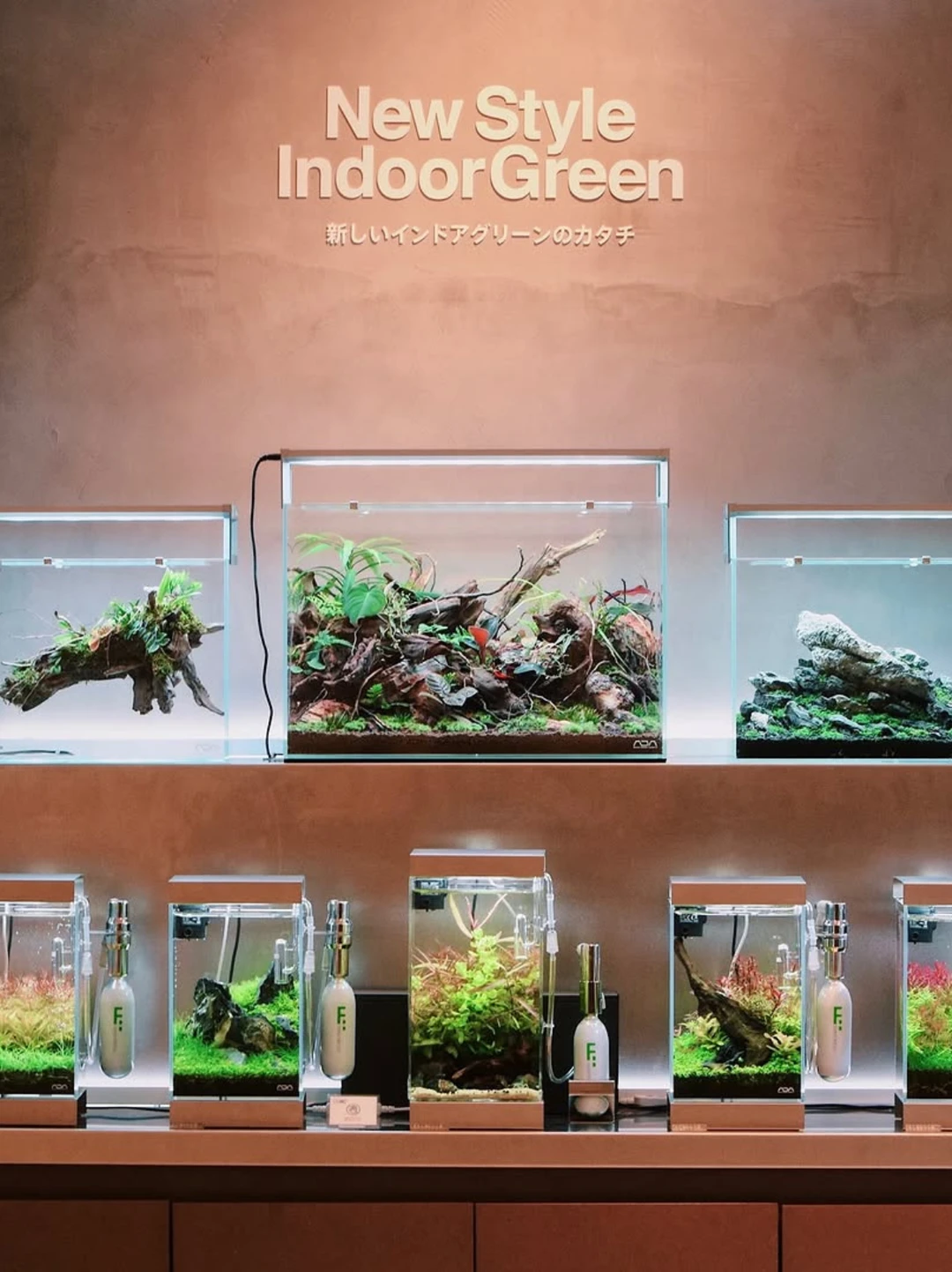 室内植物景观案例，让ADA成为你软装的选择