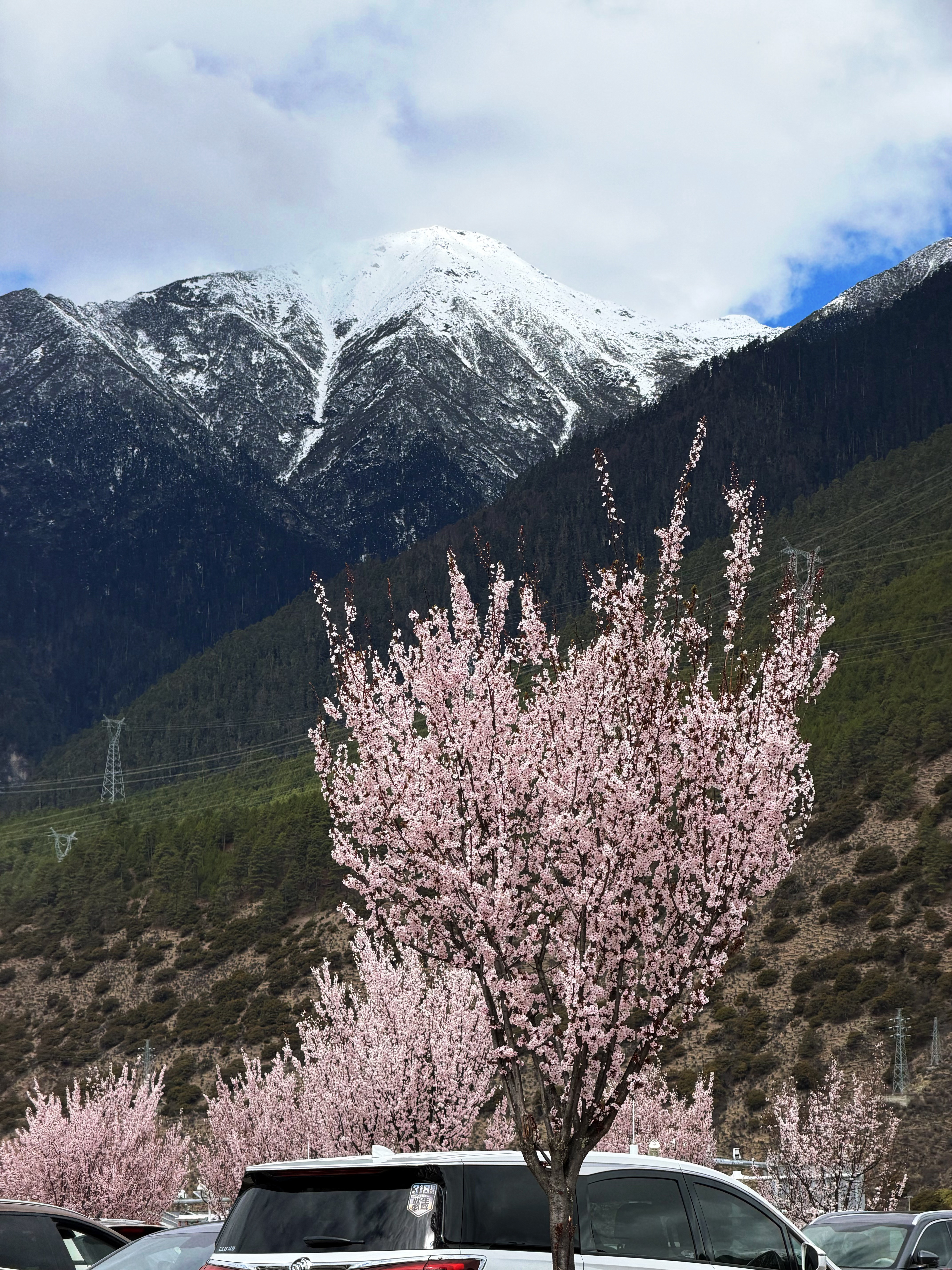 太美了很累，但心情大好。林芝·林芝米林机场