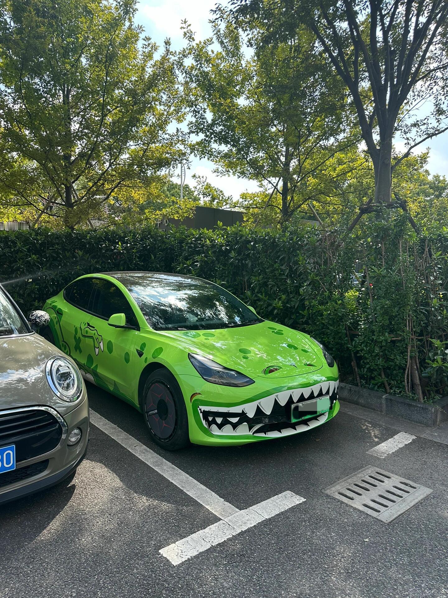 第一次感觉电车和新能源绿牌牌照如此之搭🐸​​​