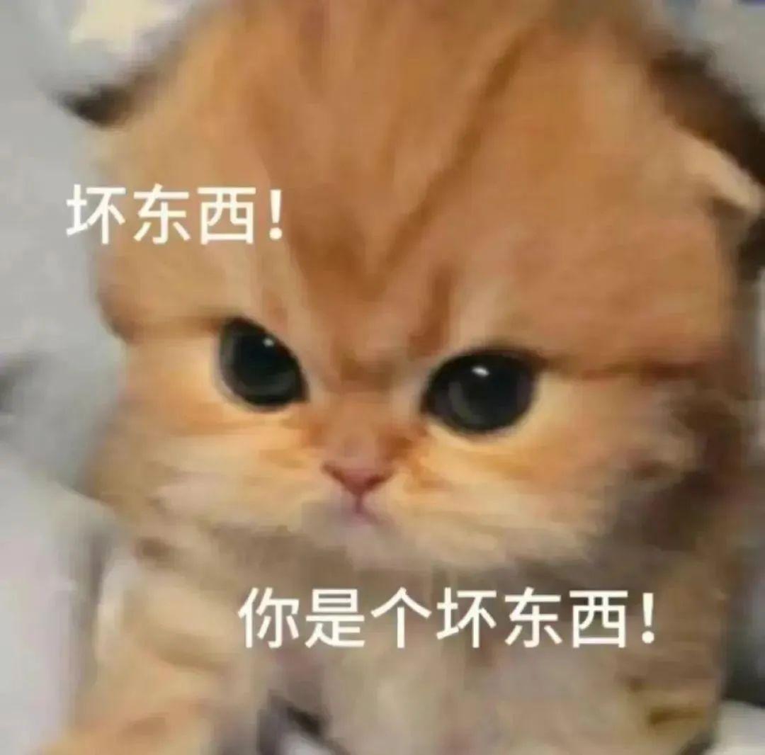 猫猫[比心][比心][比心][比心]哇~这是谁怎么这么帅