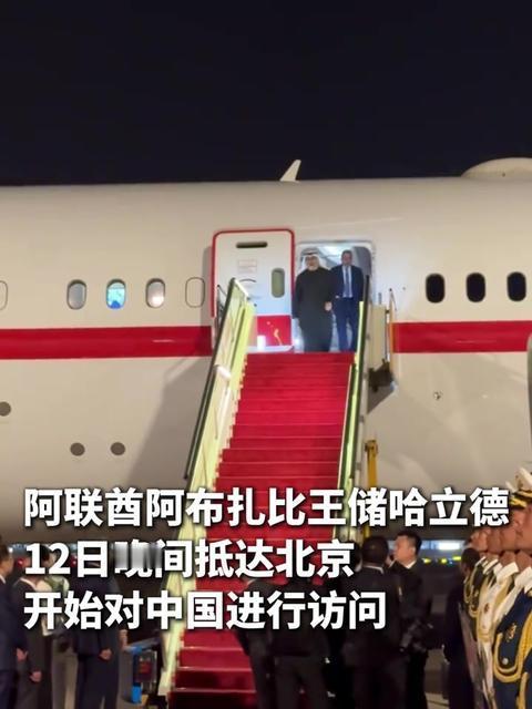 阿布扎比的王储来了。专机在北京降落的那一刻，这位酋长心里怕是不太好受。不是因为我