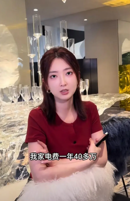 就说全球变暖赖不上穷人！浙江33岁女子透露，她家电费一年要交40多万，1000平