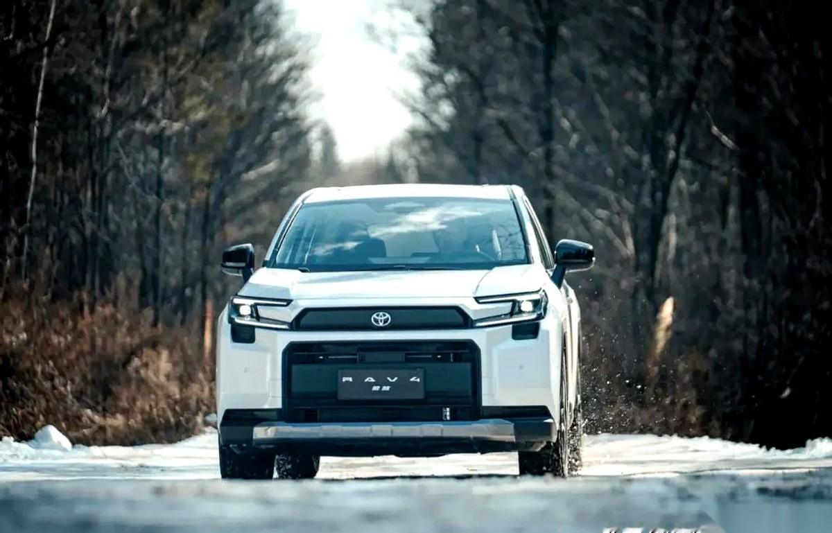 那个人影突然从路边窜出来的时候，我脑子是懵的。真的，就是一瞬间的事，脚都还没来