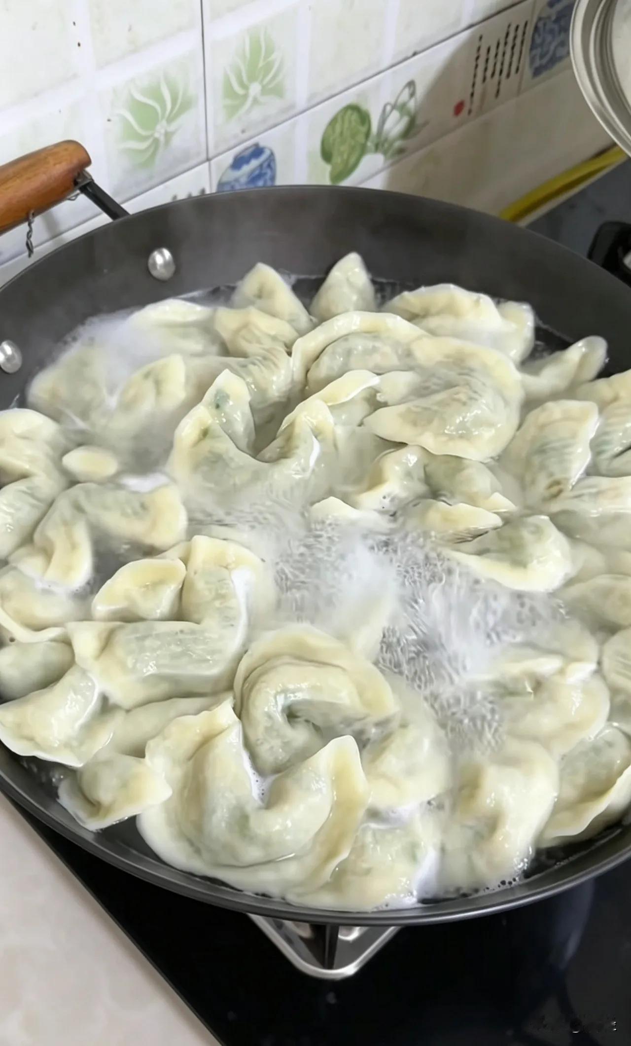 今天小姑子回家，我包了牛肉萝卜饺子婆婆看见还念叨怎么没炒几个配菜。这天太热我实