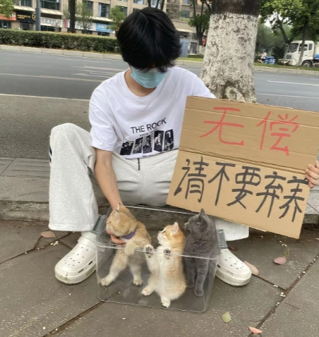 谁知道这是真的假的啊？我路过碰到有不要钱送猫的
