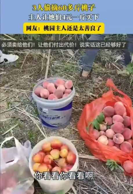 “还是太轻饶她们了！”6月9日，安徽，三个人偷了女子60斤桃子，她没有报警，而是