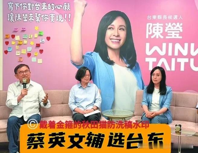 都是为了陈其迈？蔡英文出山担任陈莹竞选总部主委，吴子嘉爆出背后玄机，郭正亮说得