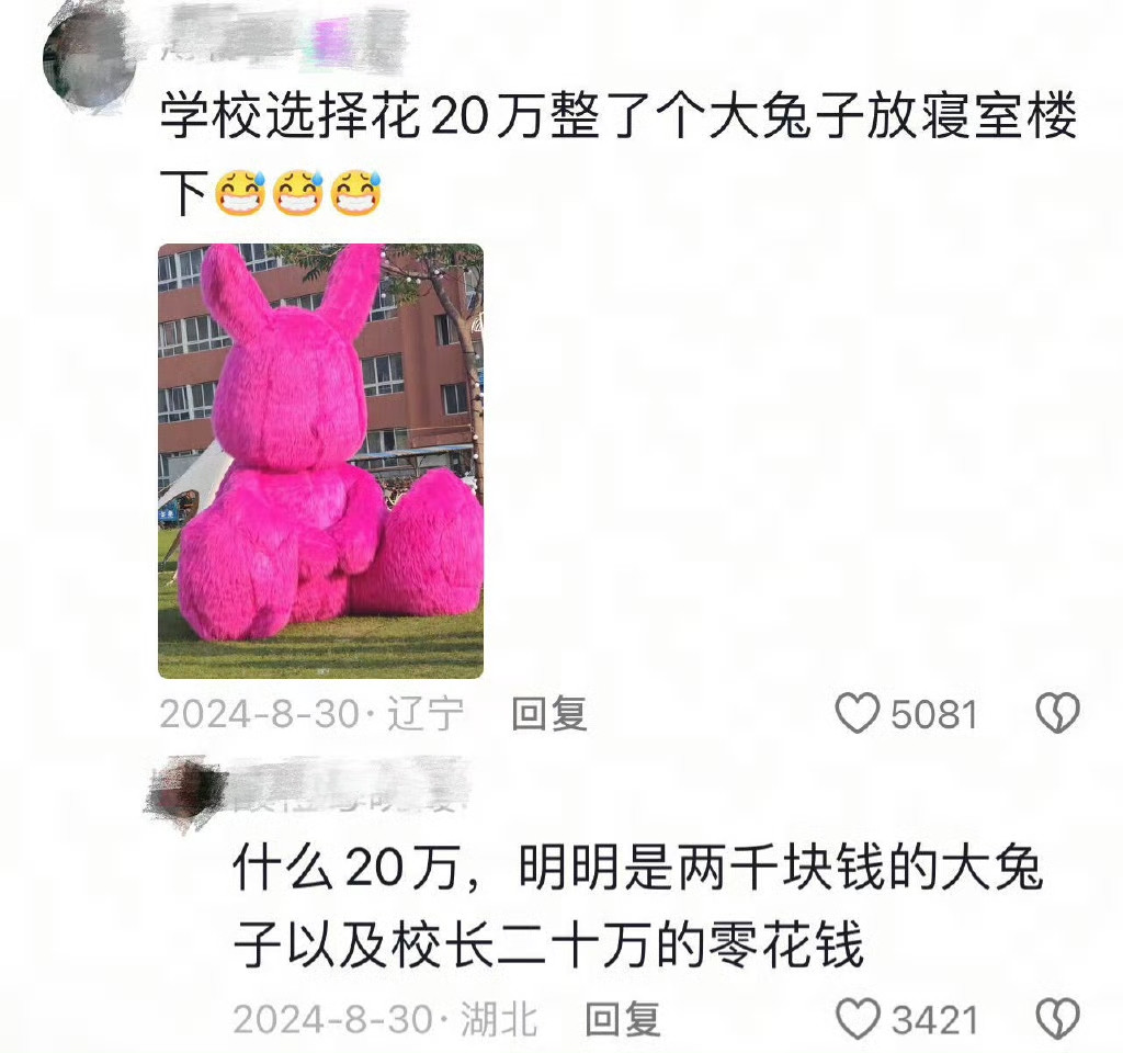 整了个大兔子放寝室楼