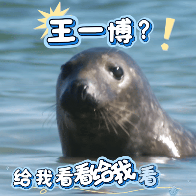 王一博的顶级好运王一博花絮大王王一博花絮大王，王一博的顶级好运，谁懂我们一博想