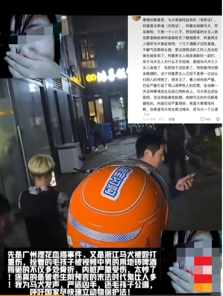 网传杭州临安青山湖一马犬被人殴打重伤，马犬拴着绳还有狗证，一条柯基犬主动挑衅被咬