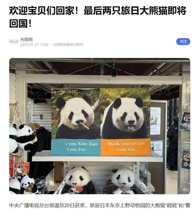 日本已经完全没有回头的余地了，因为中国不会让他们回头！看中国最近的动作就知道了。