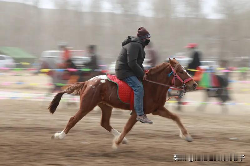 嘿，看到“骏马奋蹄迎新春”这个下联，我也来凑个上联。我觉得“灵蛇摆尾辞旧岁”挺合