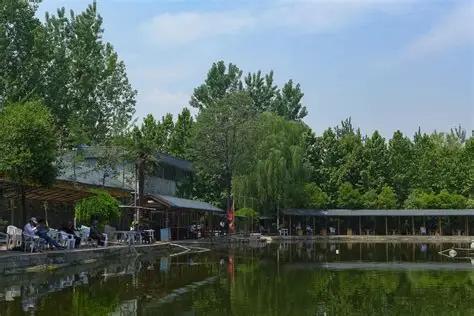 “伤害性不大，侮辱性极强！”青岛一大哥正在钓鱼，水里突然冒出一条30斤重的大鱼，