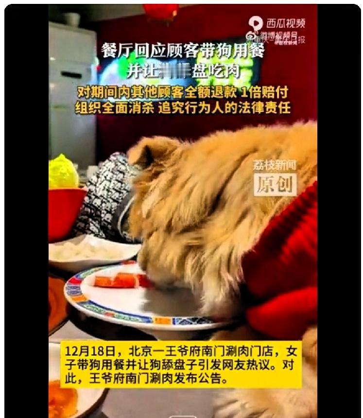 这是膈应谁呢？12月16日晚一女子带狗在南门涮肉就餐时让狗上桌舔食生羊肉卷并拍