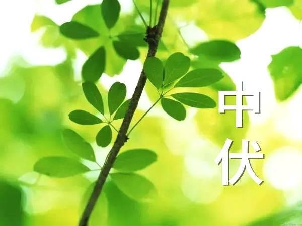 今日进入二伏天，除了吃面条，别忘吃“中伏3宝”，老传统要谨记！今天是202