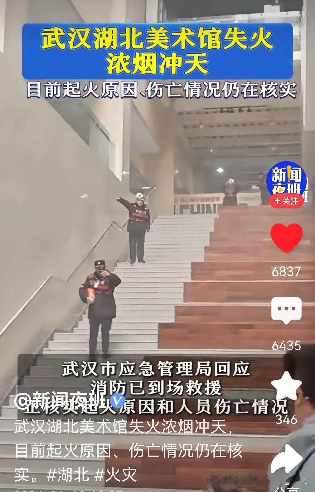这剧本写的，连三流编剧都嫌俗套！湖北美术馆这一把火，烧得那是相当有“水平”。