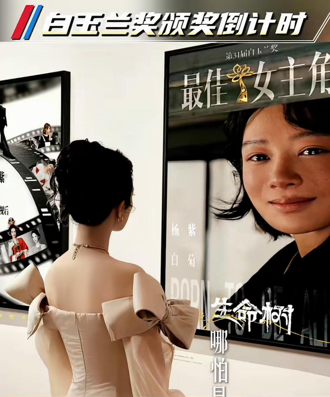 杨紫拿不拿玉兰奖最佳女主角，这个事情我不敢保证。但有一个事情我很确定的是