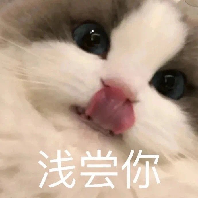 调戏男友的猫咪表情包来啦