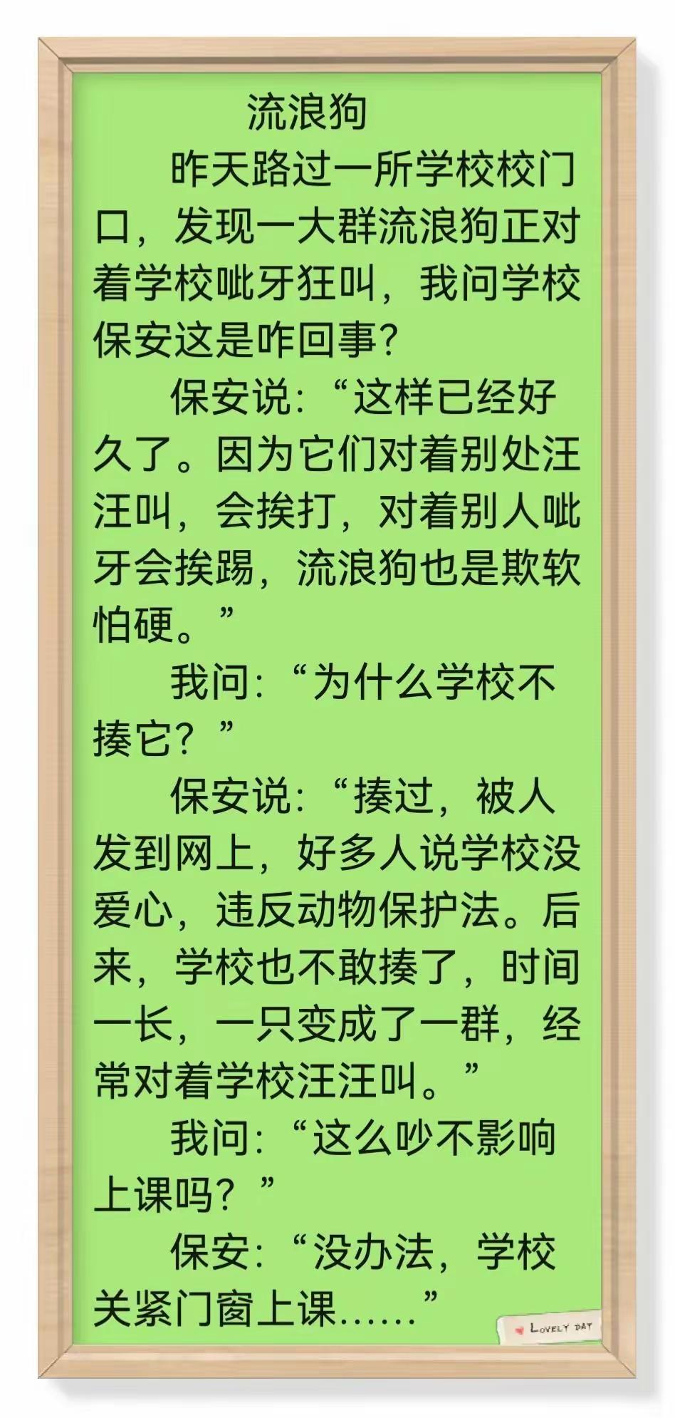 现在谁打流浪狗谁傻。