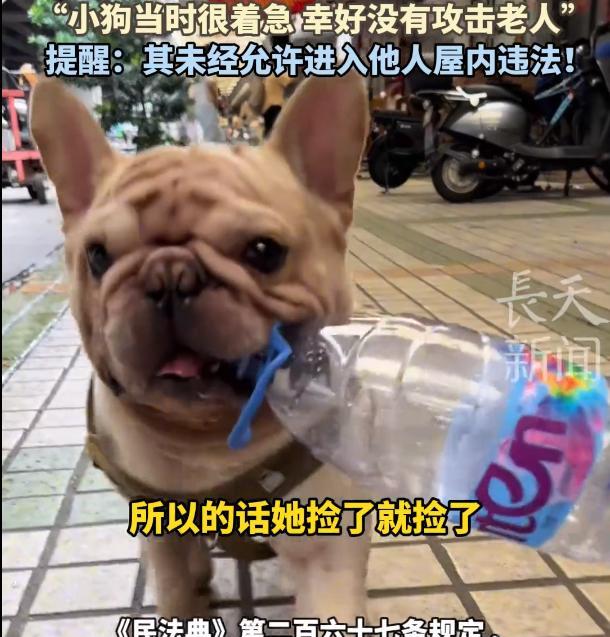 “这是真旺财！”广东，一男子养了只狗，它最大的爱好是捡瓶子，一个月给主人赚了86