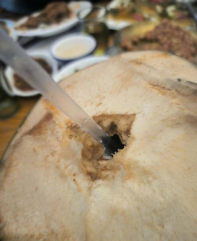 第一次目睹宠物量体温，这操作让我愣了半天！今天真是刷新认知的一天！刚还在喝椰