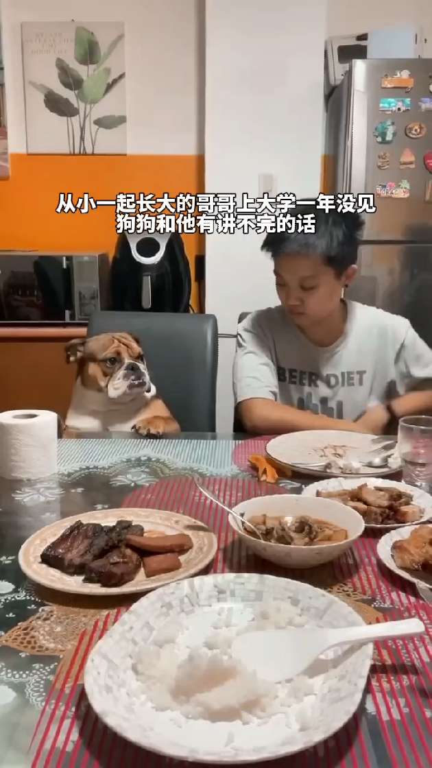 亲爱的你啊 任素汐 狗狗的心思都写在脸上了