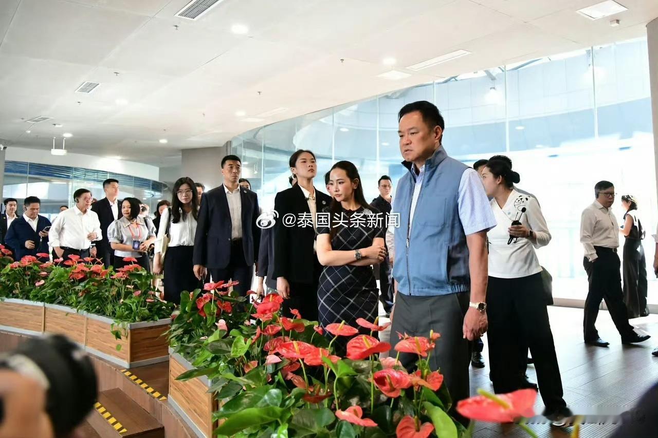 泰国总理阿努廷和夫人塔娜侬一行到成都大熊猫繁育研究基地参观，其身后的女保镖出圈了