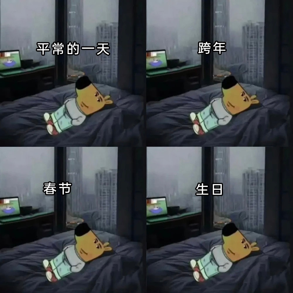 你说的跨年该不会是这样吧memes