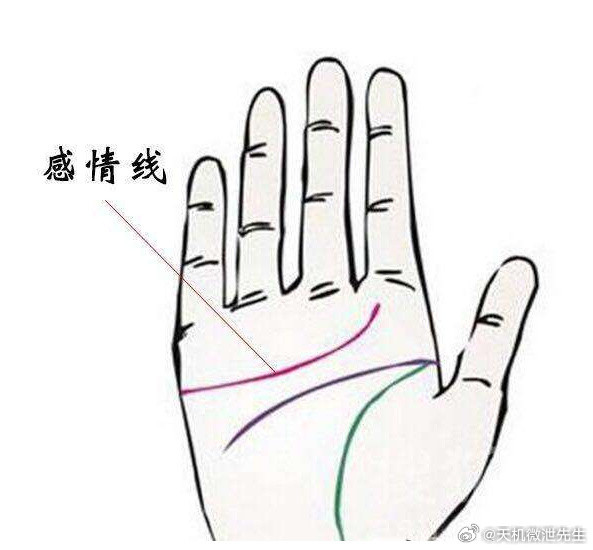手相小常识食指横纹靠“桃花财”食指上若有一条清晰的横纹，意味着此人异性缘极佳，容易因感情收获财富。比