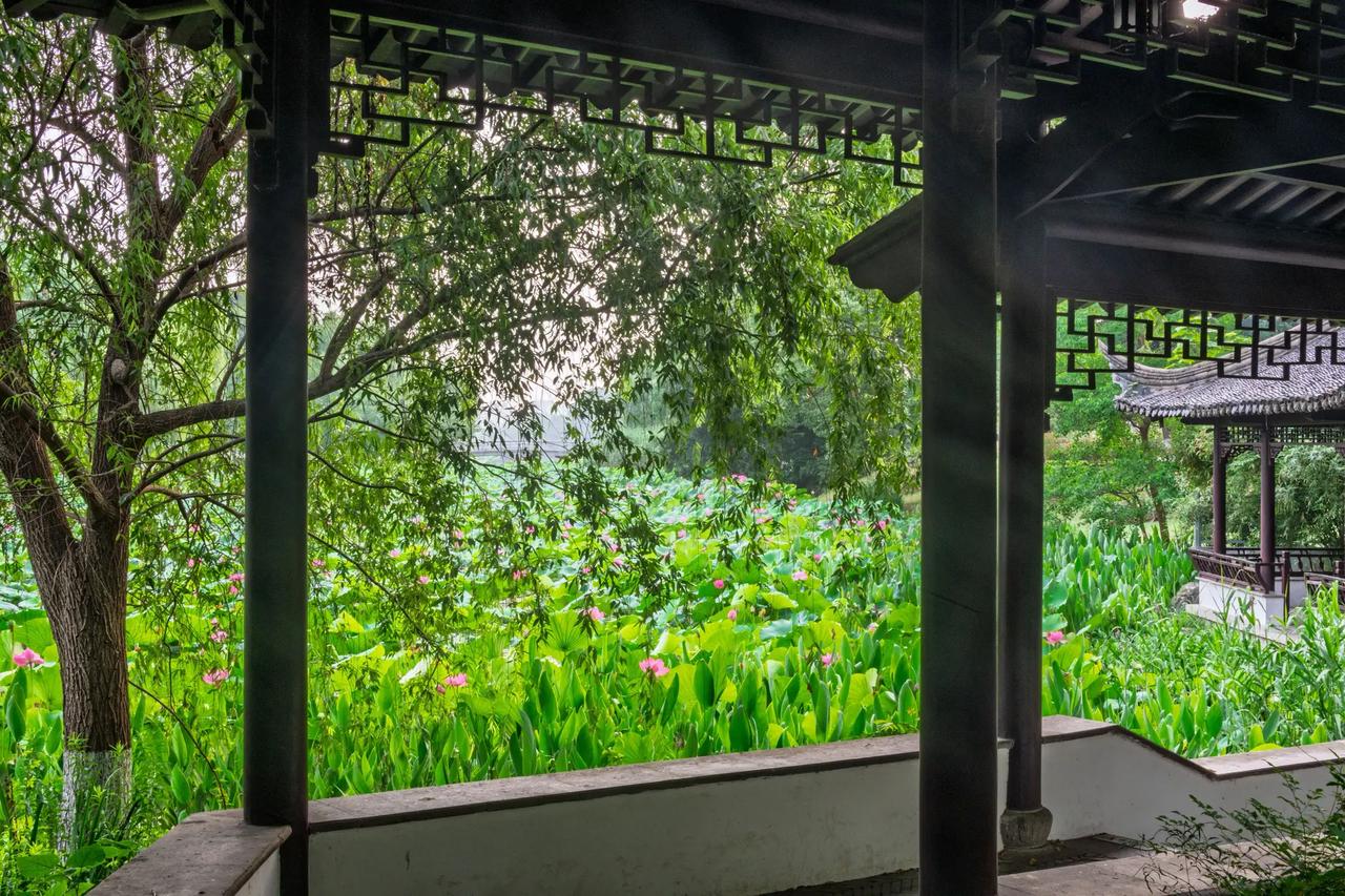 南京玄武湖。南京玄武湖