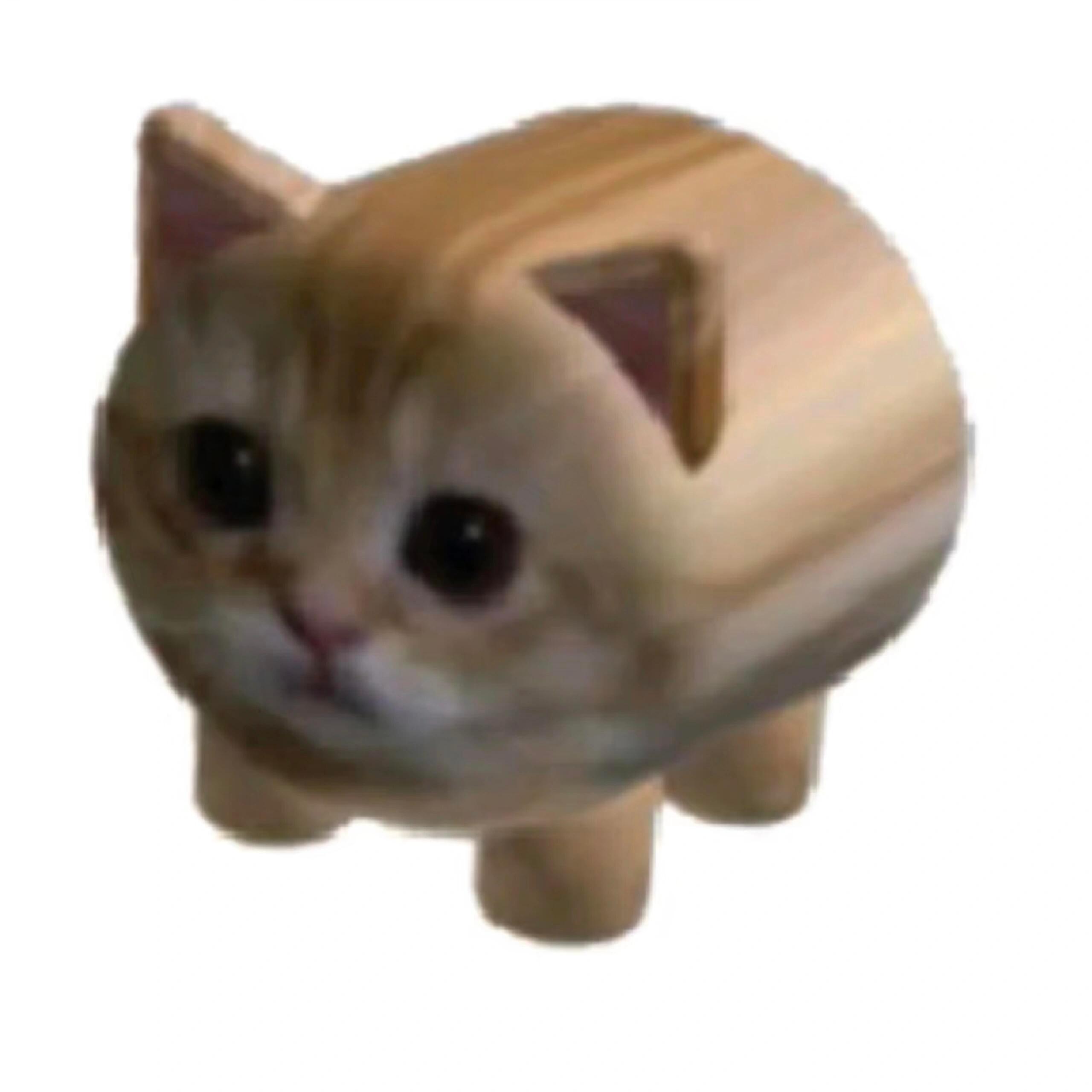 建模小猫积累🐈