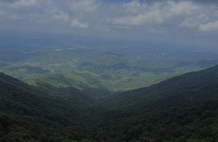 弟弟结婚我到底该给多少？真的越想越纠结。我结婚时弟弟还没成家但工作好几年了，给了
