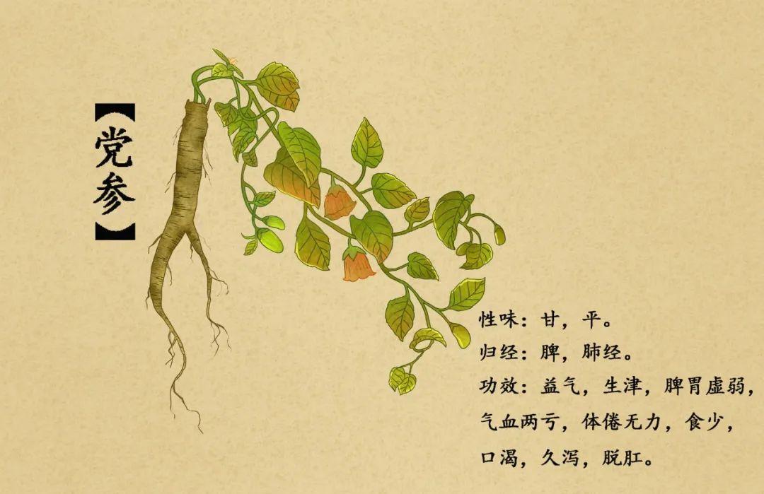 气血通肾才补得上！一招通气血调肾元，简单好操作！中医常说“肾为先天之本，气