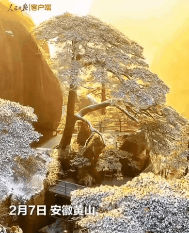 “上人民日报了！”2月7日一男子去爬黄山，本想用无人机记录生活，不料，无