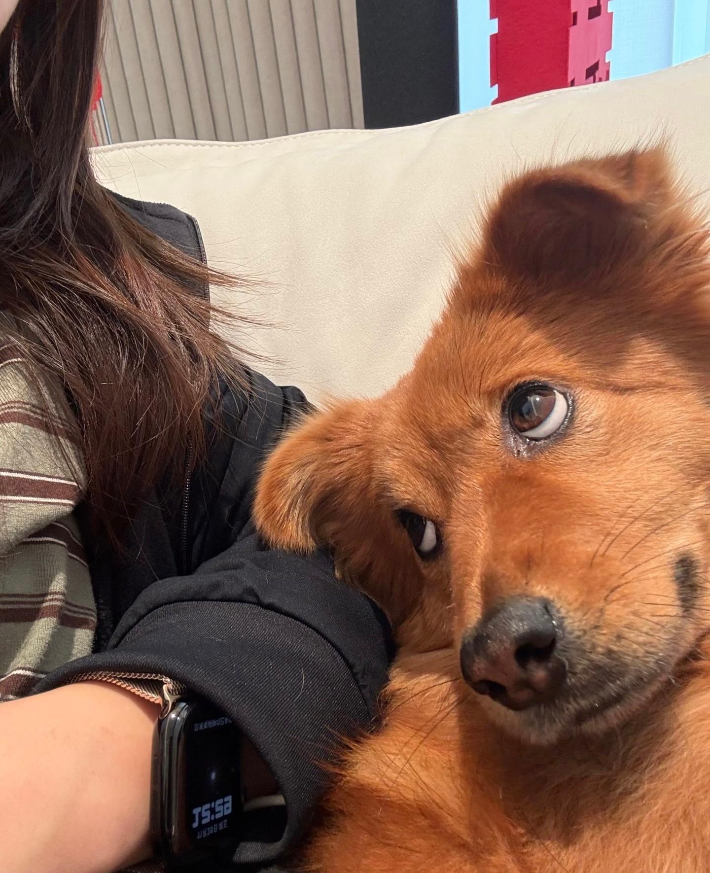 人，我不是故意的