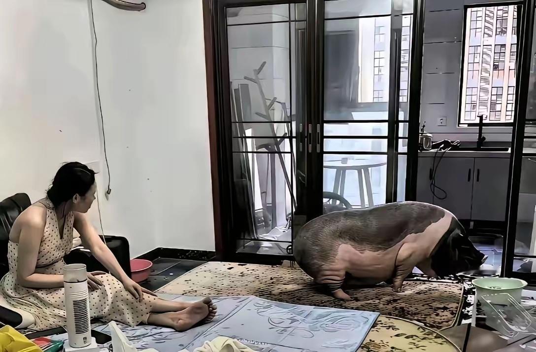 这也太离谱了吧，简直让人无法接受！