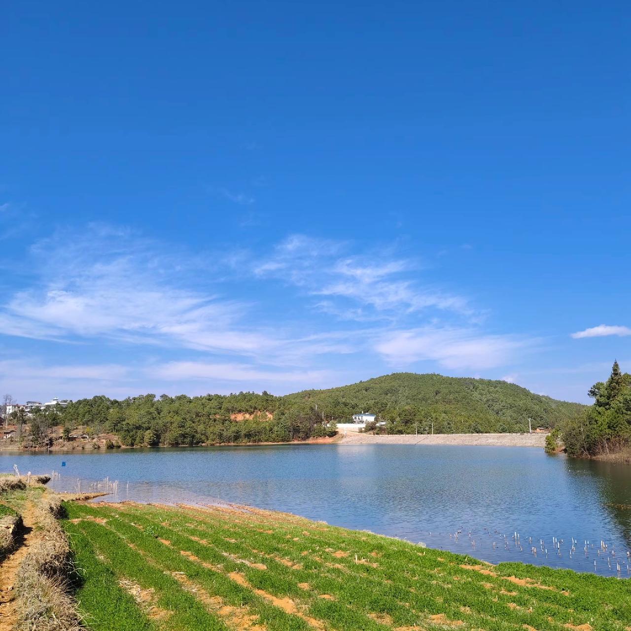 戒烟还是戒酒，真是不好选择这个岁数，身体机能已经“气紧”了。酒这东西，是透支未