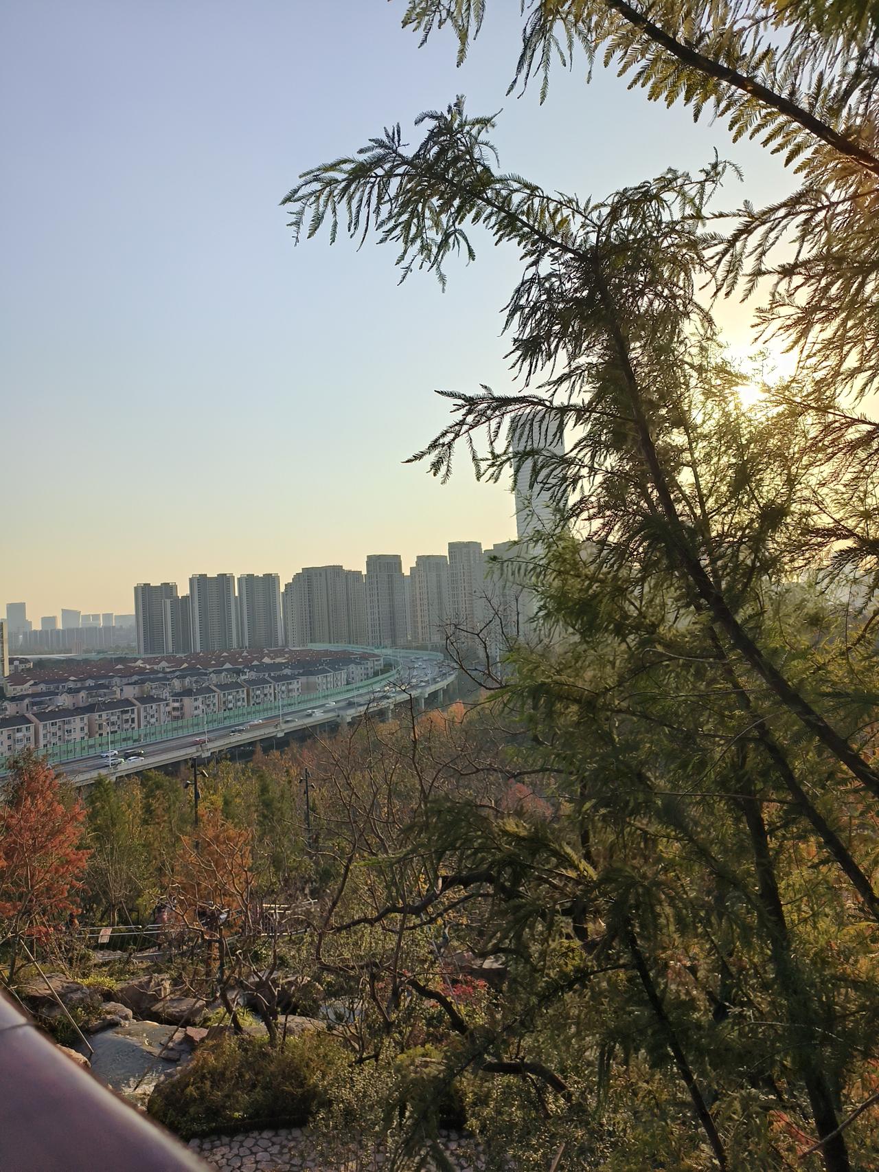 冬日美景随手拍实景图分享！周末公园徒步随手拍分享！