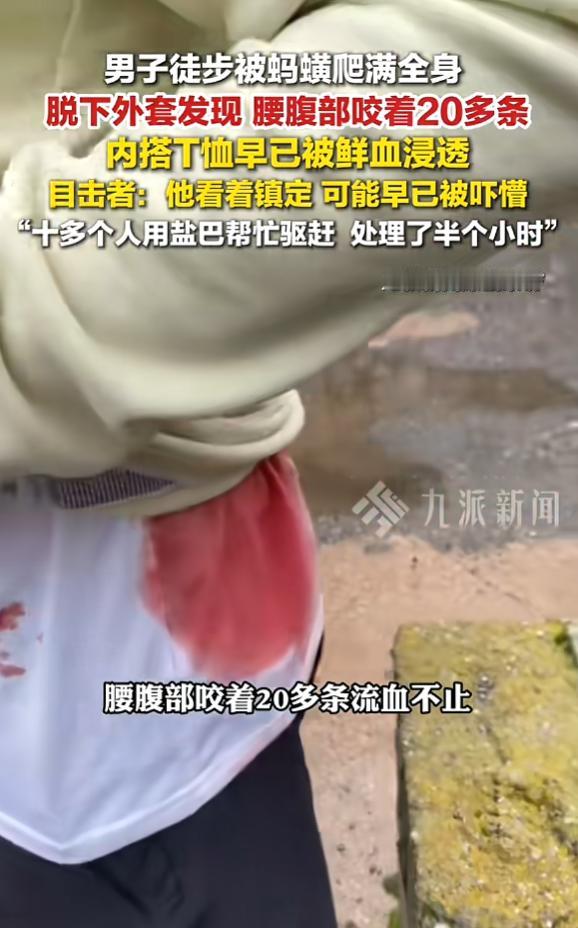 “雨季进山一定要做好防护！”昆明山脊徒步现场一幕让人浑身不适，一行人偶遇同行驴友