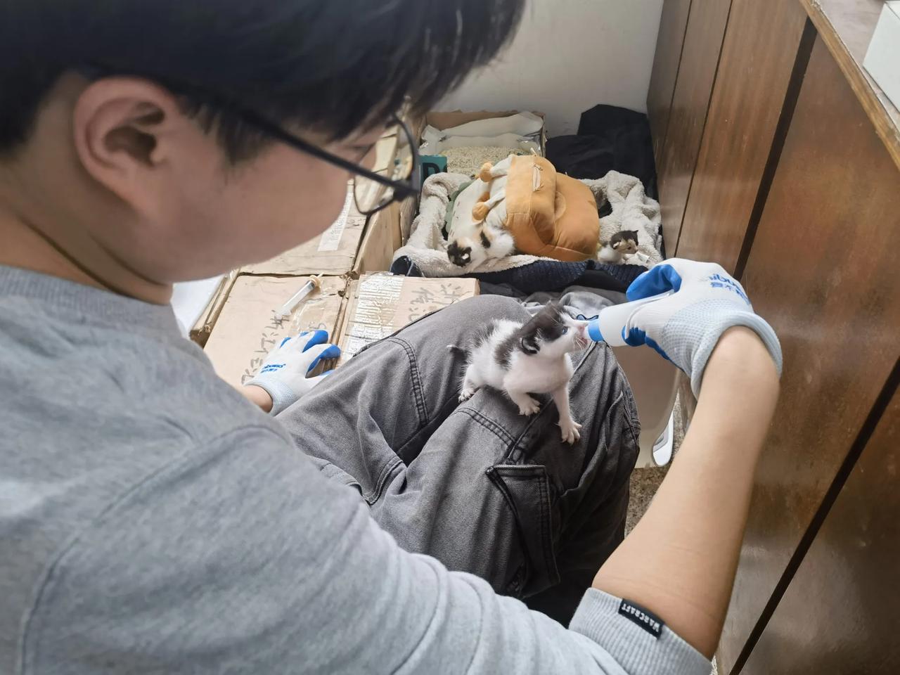奶爸。