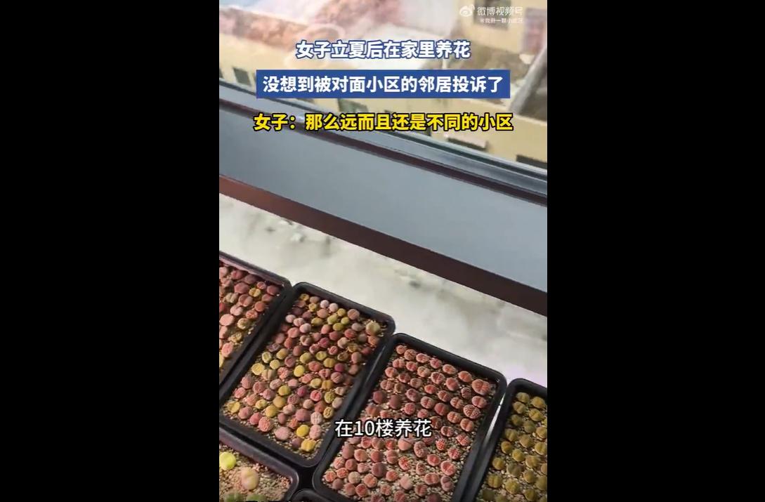 近日，一则业主因养花被对面小区集体投诉的话题引发全网热议。事件争议并非居家养花