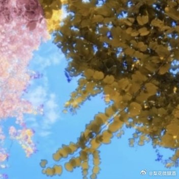 种植／微公益玫瑰种植方法1、根部种植首先需要将鲜花剪下，用酒精消毒，备用。其次
