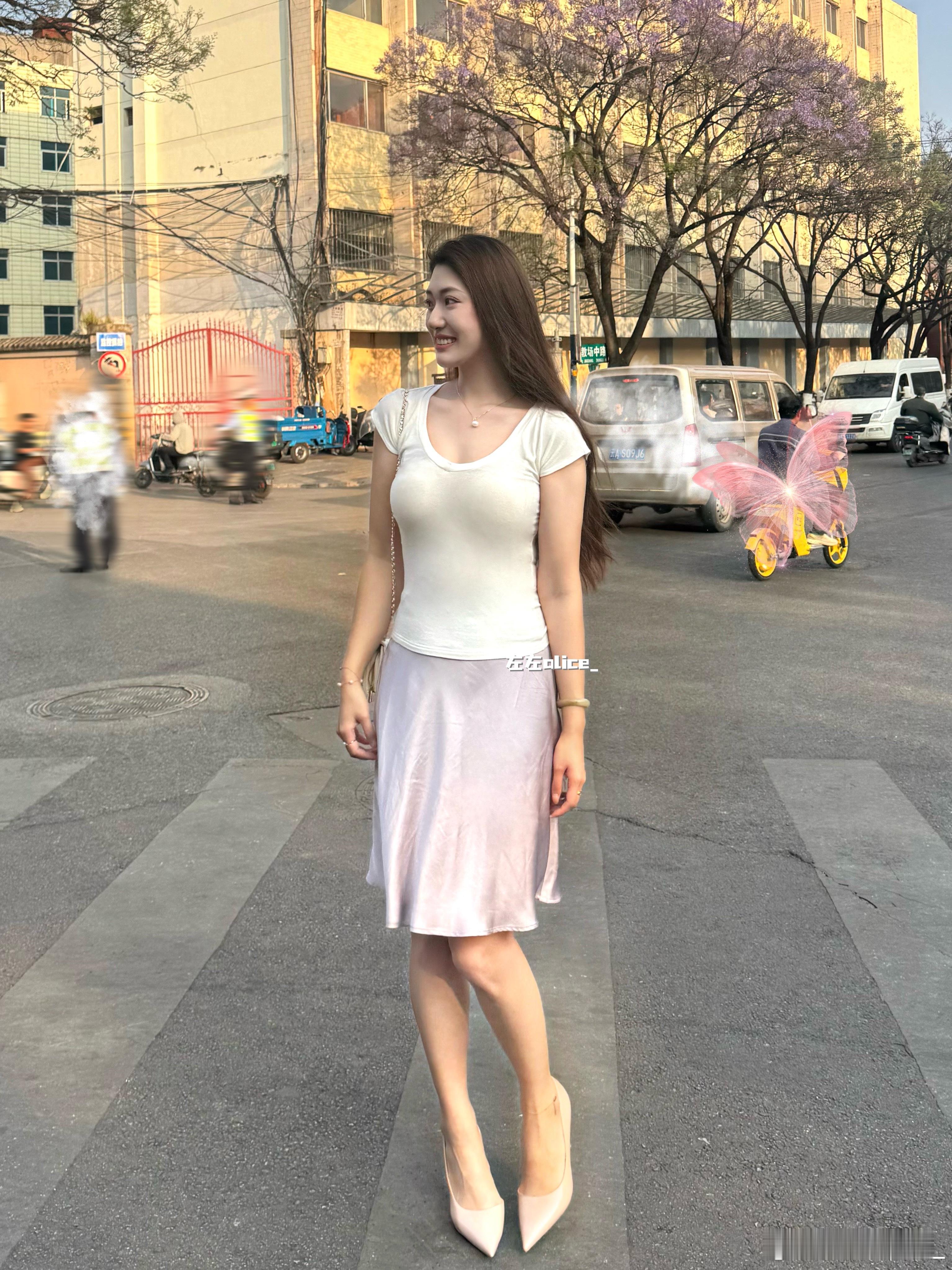 来看没有开的蓝花楹…