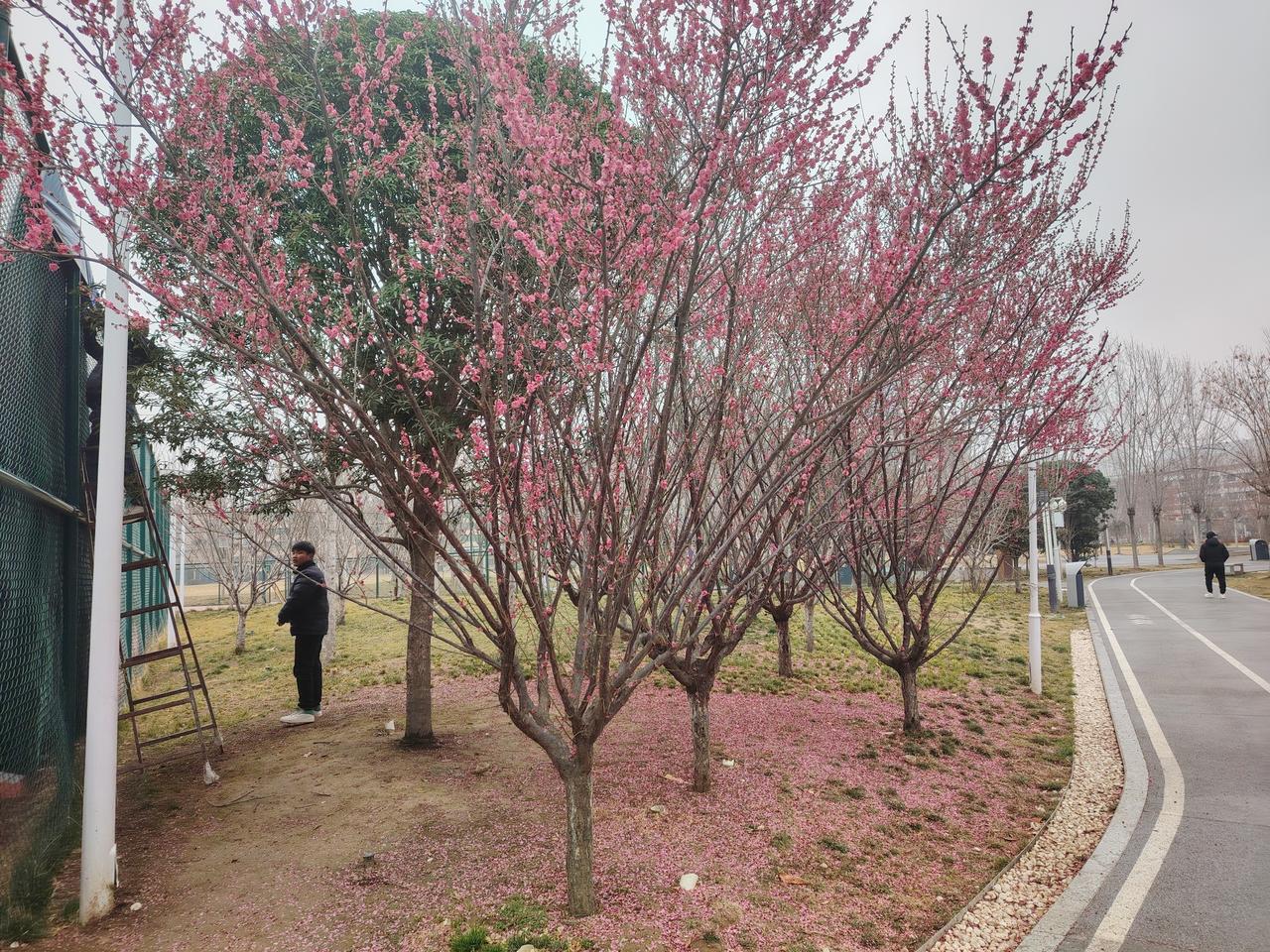 别用校长的“舒服尺度”，为难普通家长最近“征集家长到校打扫卫生”的争议，核心就