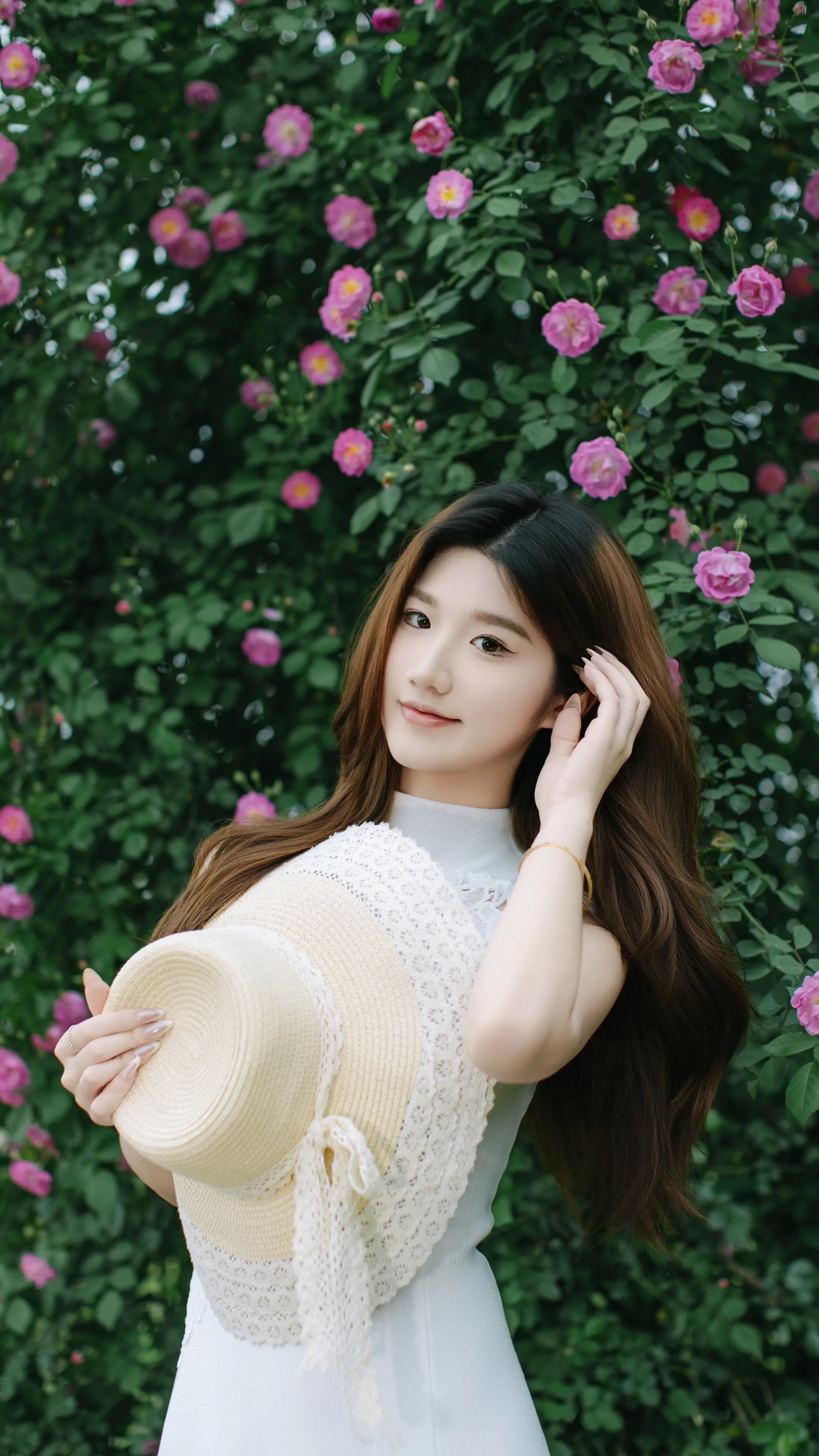 蔷薇和月见草。