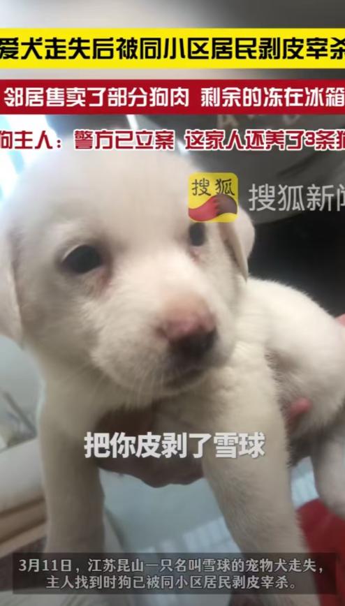 江苏昆山，女子没关好门，家里的狗跑了出去，结果被邻居老人剥了皮把肉卖了。女子和丈